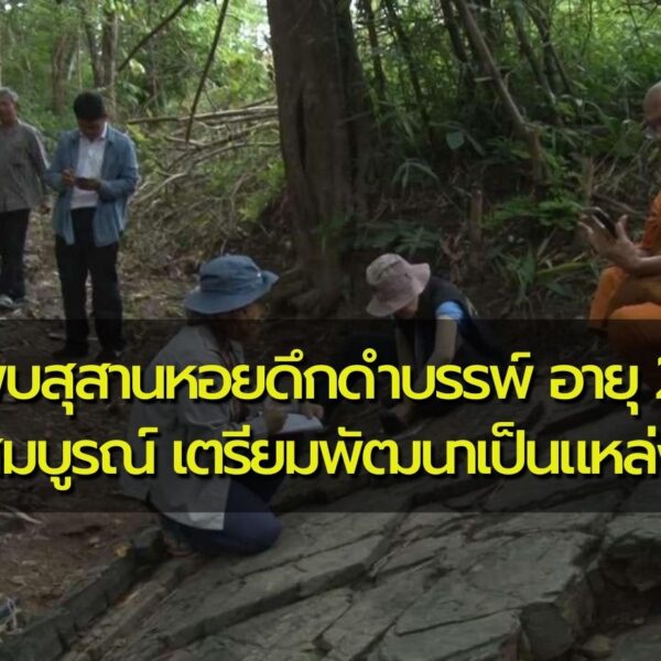 “ลำปาง” พบสุสานหอยดึกดำบรรพ์ อายุ 240 ล้านปี สภาพสมบูรณ์ เตรียมพัฒนาเป็นแหล่งศึกษาเรียนร…